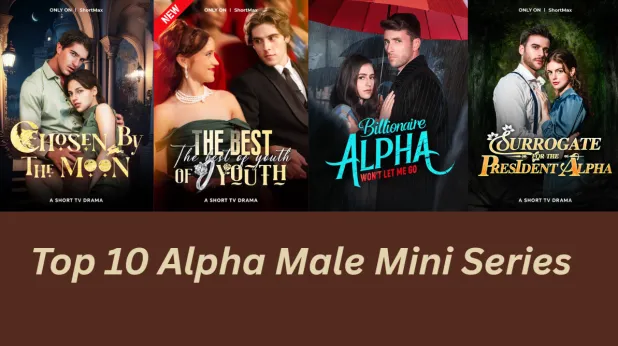 Top 10 Alpha Male Mini Series That Are Too Hot to Handle