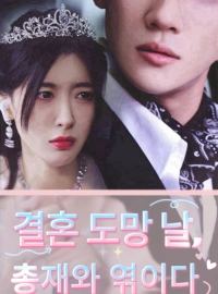 은퇴한 챔피언
