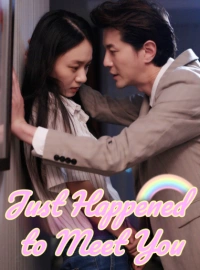 Just Happened to Meet You