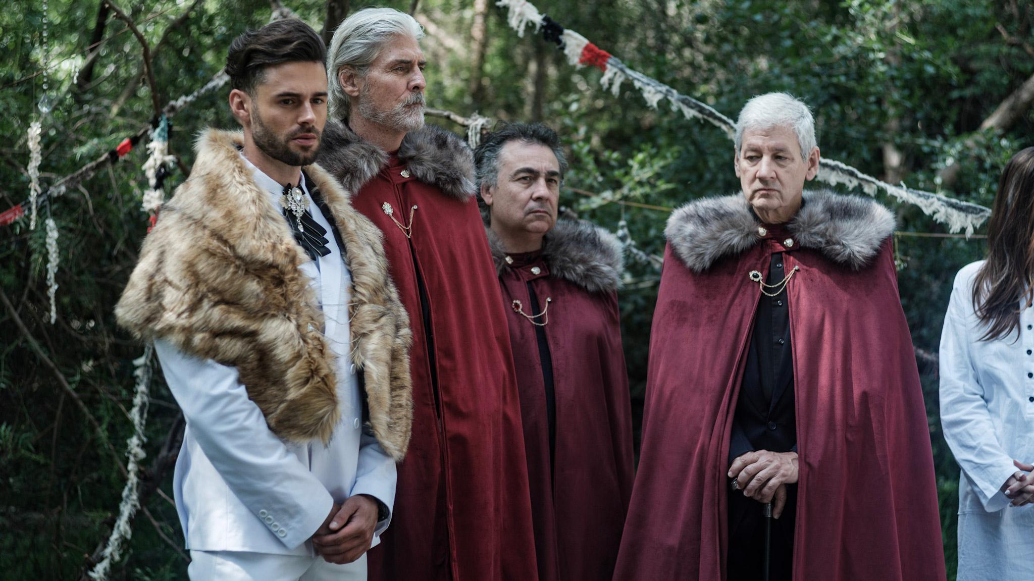Chosen by Fate, Rejected by the Alpha: A Must-Know Title for Werewolf Miniseries Fans