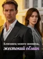 Близнец моего жениха, жестокий обман cover
