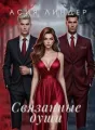 Связанные души cover