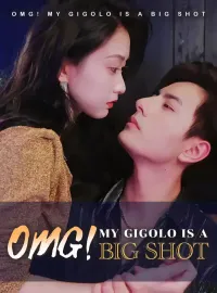 OMG! My Gigolo Is a Big Shot