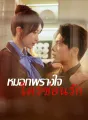 หมอกพรางใจ ใครซ่อนรัก cover