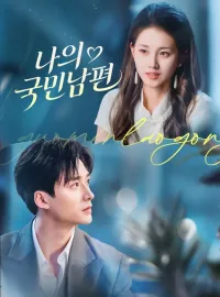 나의 국민남편