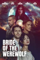 Ryan Larson Wallpaper