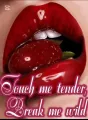 Touch me tender, Break me wild: Short, Steamy Erotica Compilations cover