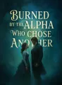 Burned by the Alpha Who Chose Another cover