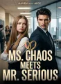 Ms. Chaos Meets Mr. Serious cover