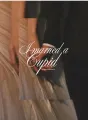 I married a Cupid cover