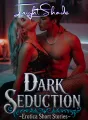 DARK SEDUCTION {EROTICA SHORT STORIES} cover