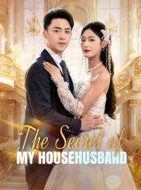 The Secret of My HousehusbandShort Dramas