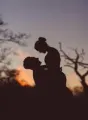 Mi vida... contigo? cover