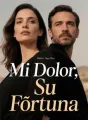 Mi Dolor, Su Fortuna cover
