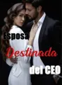Esposa destinada del CEO cover