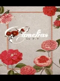 Camelias