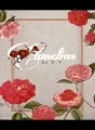 Camelias cover