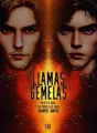 Llamas gemelas (Libro 1) cover