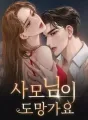 사모님이 도망가요 cover