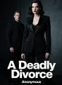 A Deadly Divorce cover