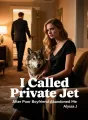 I Called Private Jet After Poor Boyfriend Abandoned Me cover