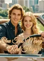 One Too Many Red Flags cover