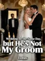 Wedding on the Same Day, but He's Not My Groom cover