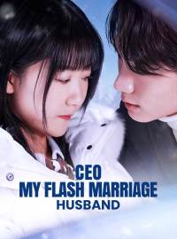 CEO: My Flash Marriage HusbandShort Dramas