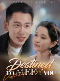 Destined to Meet You