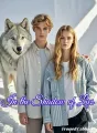 In the Shadow of Lies cover