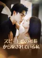 スピード婚の社長から愛されている私 cover