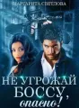 НЕ УГРОЖАЙ БОССУ, опасно!  cover