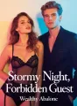 Stormy Night, Forbidden Guest cover