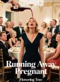 Running Away Pregnant cover
