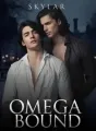Omega Bound cover