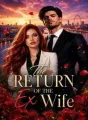 The Return of the Ex Wife cover