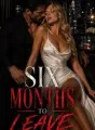 The Billionaire's Contract Wife: Six Months To Leave cover