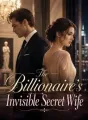 The Billionaire's Invisible Secret Wife cover