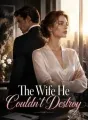 The Wife He Couldn't Destroy cover