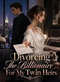 Divorcing The Billionaire For My Twin Heirs