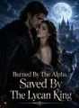 Burned By The Alpha,Saved By The Lycan King cover
