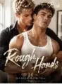 Rough Hands(20 gay steamy encounters) cover