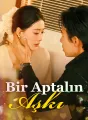 Bir Aptalın Aşkı cover