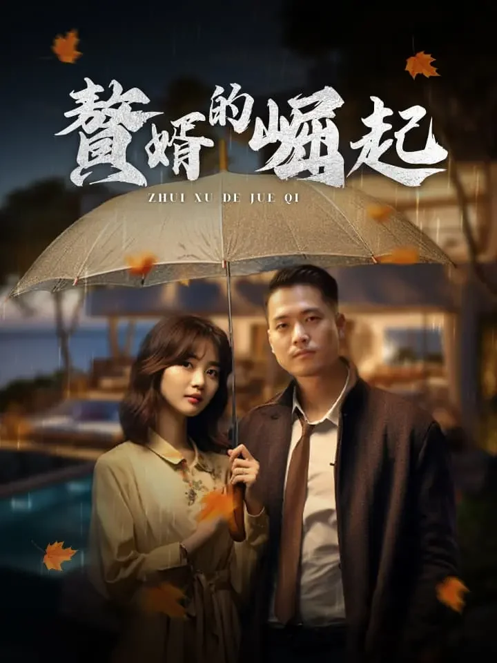 贅婿的崛起