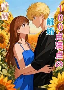 100点満点の離婚計画