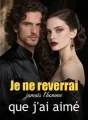 Je ne reverrai jamais l'homme que j'ai aimé cover