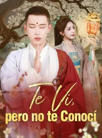 Te Vi, pero no te Conocí