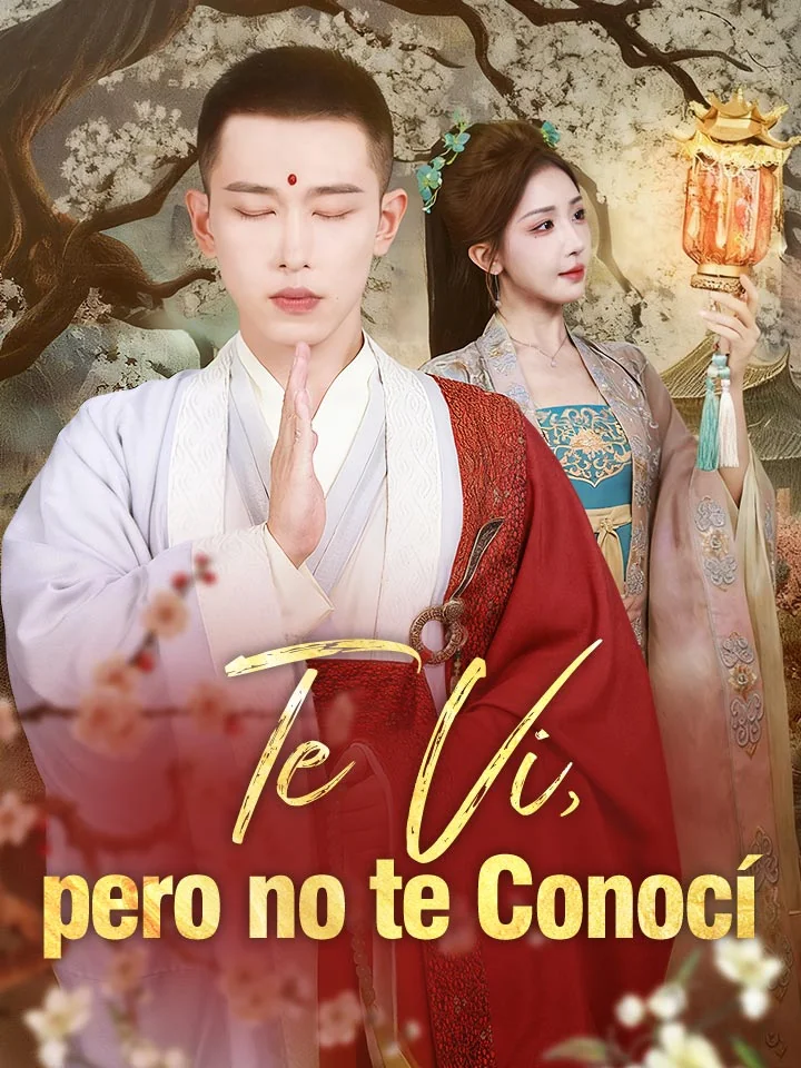 Te Vi, pero no te Conocí