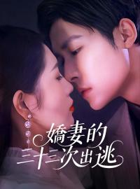 嬌妻的三十三次出逃
