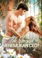 Tak Sengaja Menemukan CEO? cover